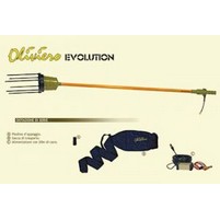 OLIVIERO EVOLUTION