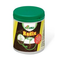 POLVERE RADICANTE RADIX g.80