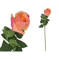 ROSA NATURAL CM.58 ROSA NATURAL CM.58