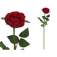 ROSA SINGOLA CM.61 REAL TOUCH
