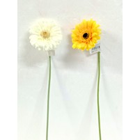 GERBERA LUSSO  21484