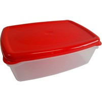 SCATOLA FRIGO FRESKA LT. 11 SCATOLA FRIGO FRESKA LT. 11
