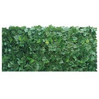 ARELLA SEMPREVERDE EDERA MT.1X3