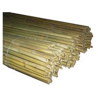 CANNA BAMBOO CM.210 D28-30