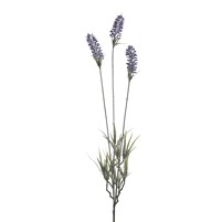 LAVANDA-PAPAVERO LAVANDA-PAPAVERO