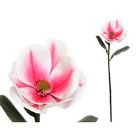 MAGNOLIA TOCCO REALE CM.65 MAGNOLIA TOCCO REALE CM.65