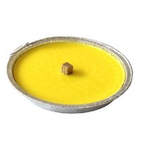 CITRONELLA IN ALLUMINIO CM.16 200g 8 ORE