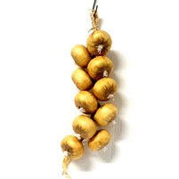CIPOLLE TRECCIA