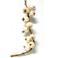 AGLIO TRECCIA