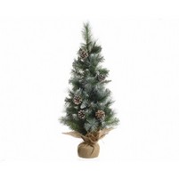ALBERO INNEVATO PIGNE