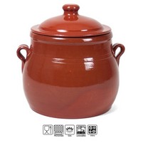 PENTOLA COCCIO C-COPERCHIO CM.16 L.3