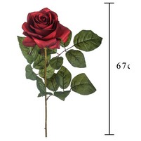 ROSA REAL TOUCH CM.60