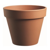 VASO COCCIO STANDARD CM.35