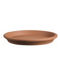 SOTTOVASO COCCIO CM.21