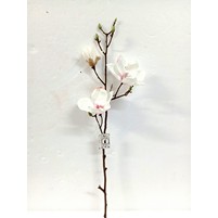 RAMO FIORE VERGA-MAGNOLIA RAMO FIORE VERGA-MAGNOLIA