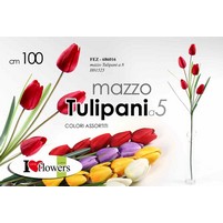 TULIPANI RAMO 5 FIORI  17141