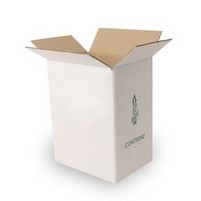 SCATOLA X 2 LATTINE OLIO LT.5