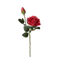 ROSA C-BOCCIOLO ROSA C-BOCCIOLO