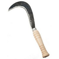RONCOLA VIGNA LAMA FINA CM.14