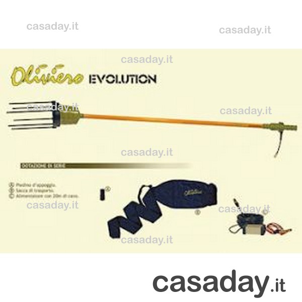 OLIVIERO EVOLUTION oliviero OLIVIERO EVOLUTION oliviero