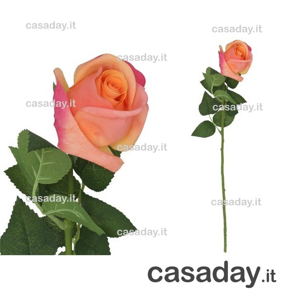 ROSA NATURAL CM.58 ROSA NATURAL CM.58