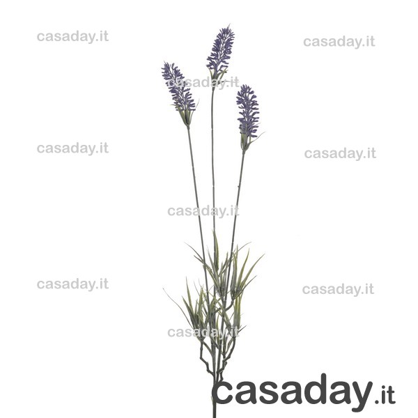 LAVANDA-PAPAVERO LAVANDA-PAPAVERO