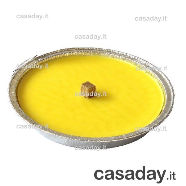 CITRONELLA IN ALLUMINIO CM.16 200g 8 ORE CITRONELLA IN ALLUMINIO CM.16 200g 8 ORE