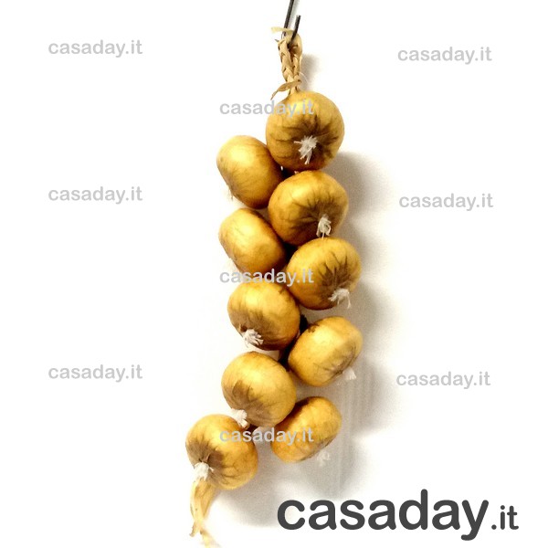 CIPOLLE TRECCIA CIPOLLE TRECCIA