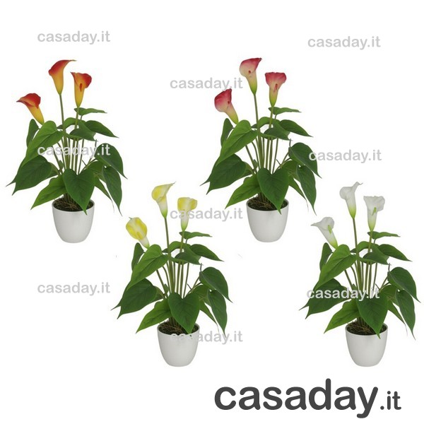 CALLA CON VASO H.40 D.11 