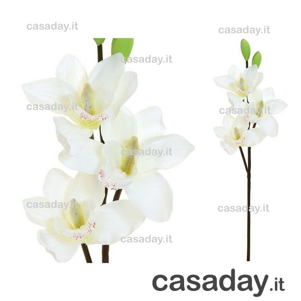 CYMBIDIUM RAMO 3 FIORI CM.52 