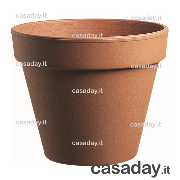 VASO COCCIO STANDARD CM.31 