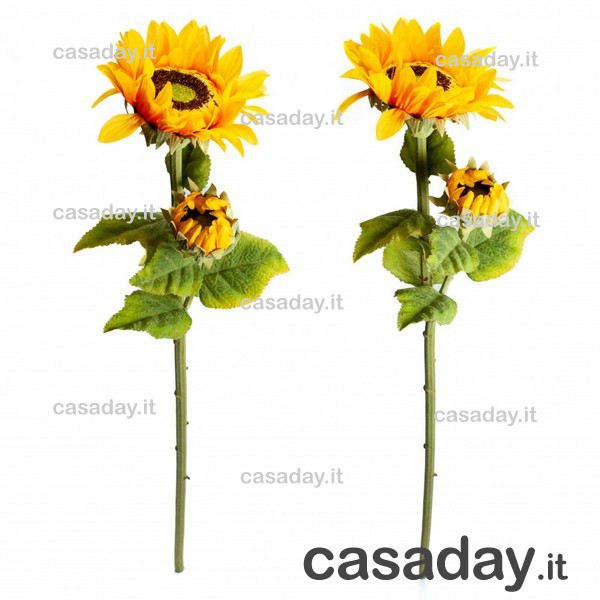 GIRASOLE RAMO GIRASOLE RAMO